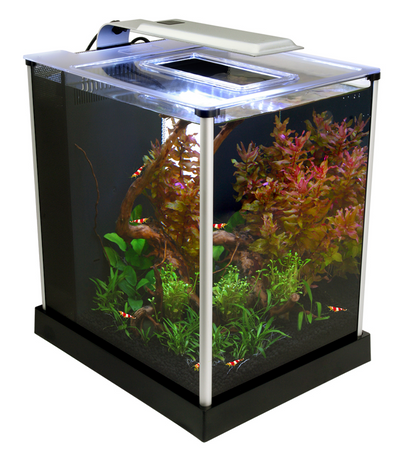 Ebi Freshwater Shrimp Kit, 2.6 US Gal / 10 L