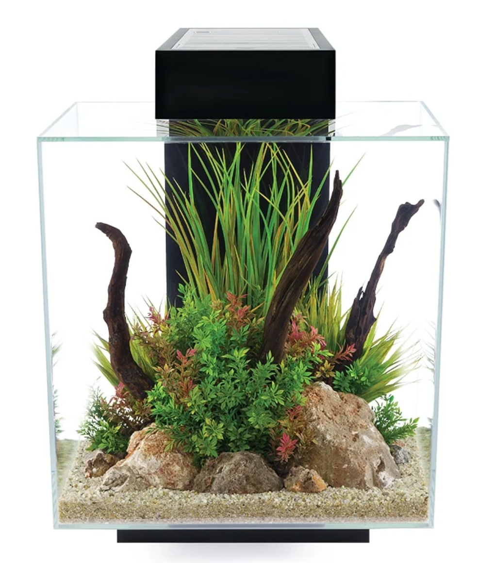 Edge Aquarium Kit, 12 US Gal / 46 L