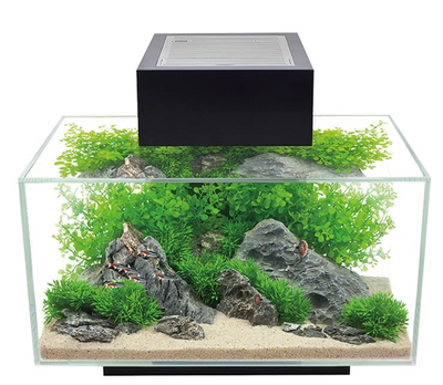 Edge Aquarium Kit, 6 US Gal / 23 L
