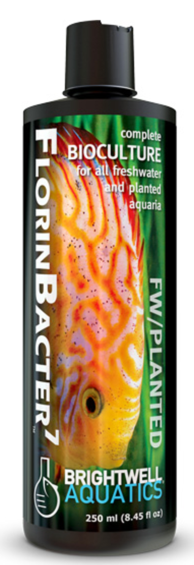 FlorinBacter7 125mL