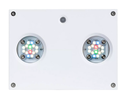 Hydra 32 HD LED Freshwater Light - White Body