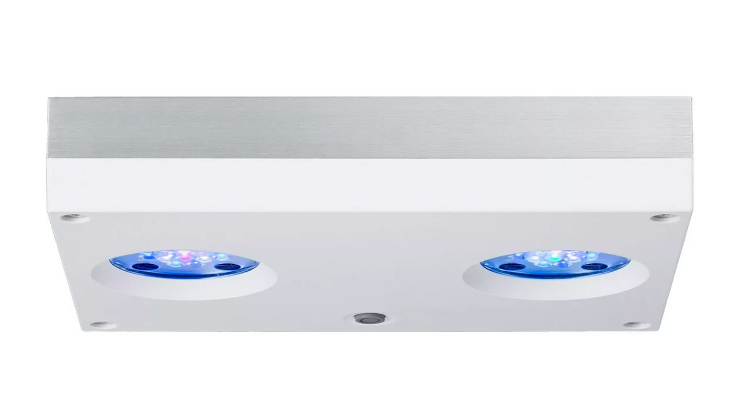 Hydra 32 HD LED Reef Light - White Body