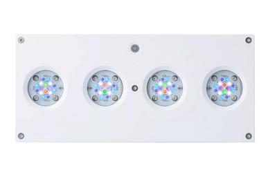 Hydra 64 HD LED Reef Light - White Body
