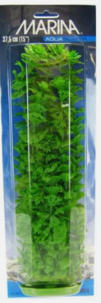 Marina Aquascaper Ambulia Plant 15"