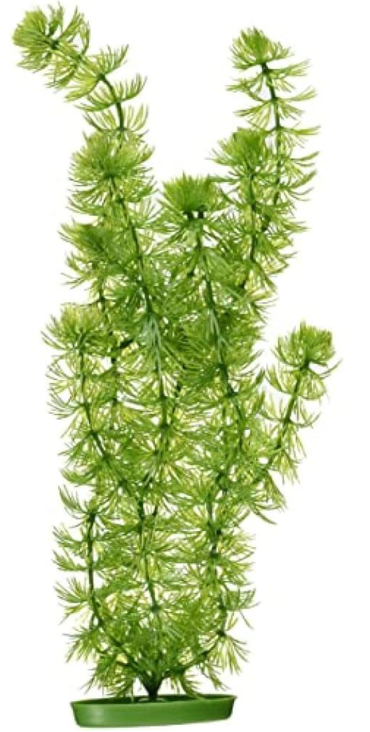 Marina Aquascaper Hornwort Plant, 15-Inch