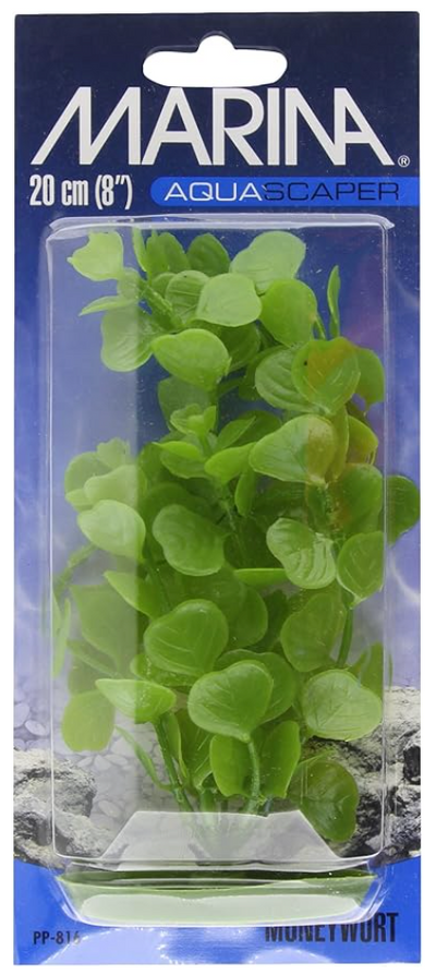 Marina Aquascaper Moneywort 8in