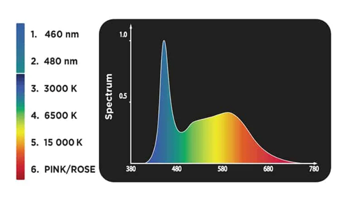 Fluval Plant 3.0 Bluetooth LED Light