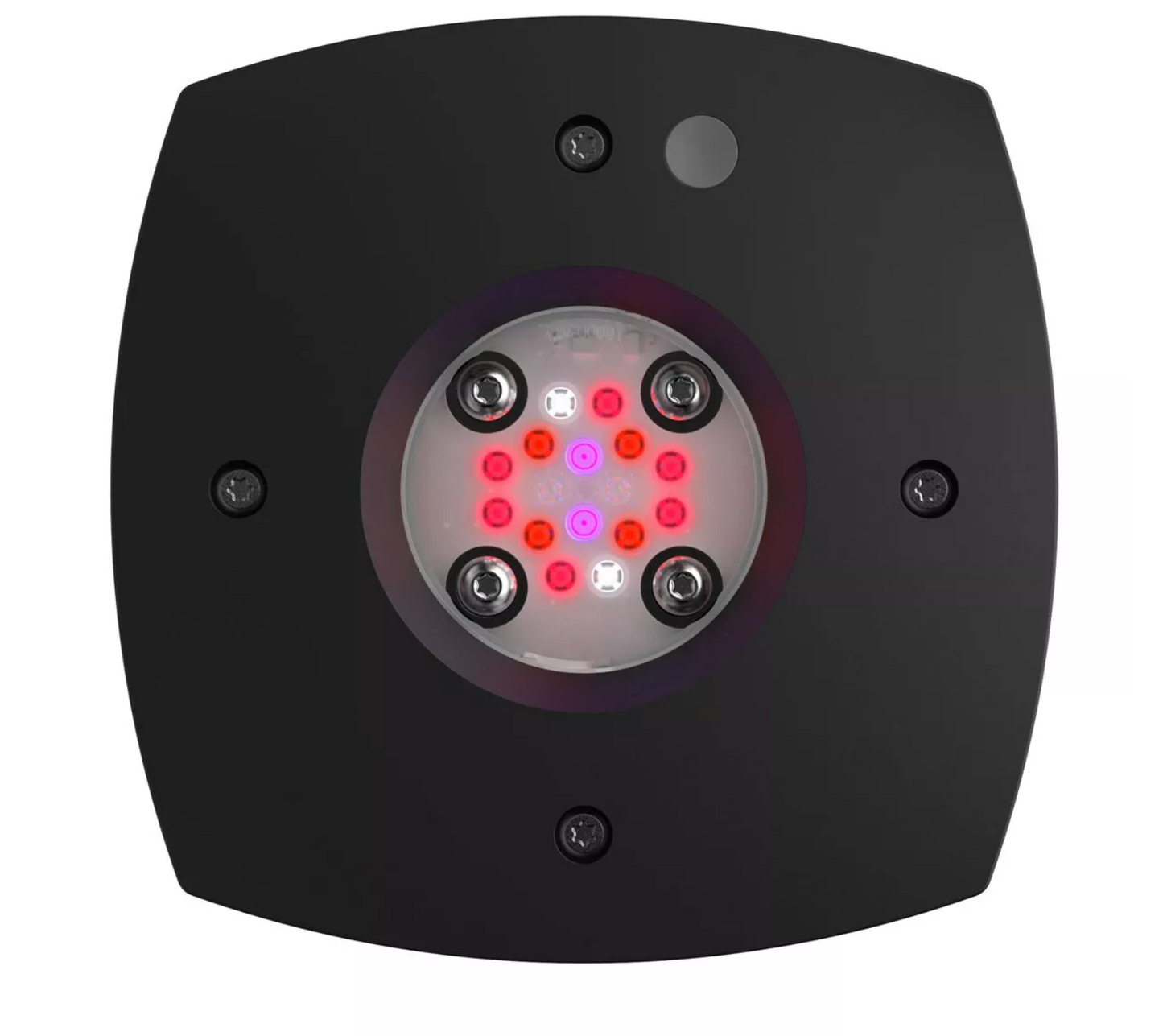 Prime 16 LED Fuge Light - Black Body