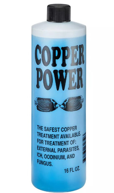 Copper Power Blue 16 oz