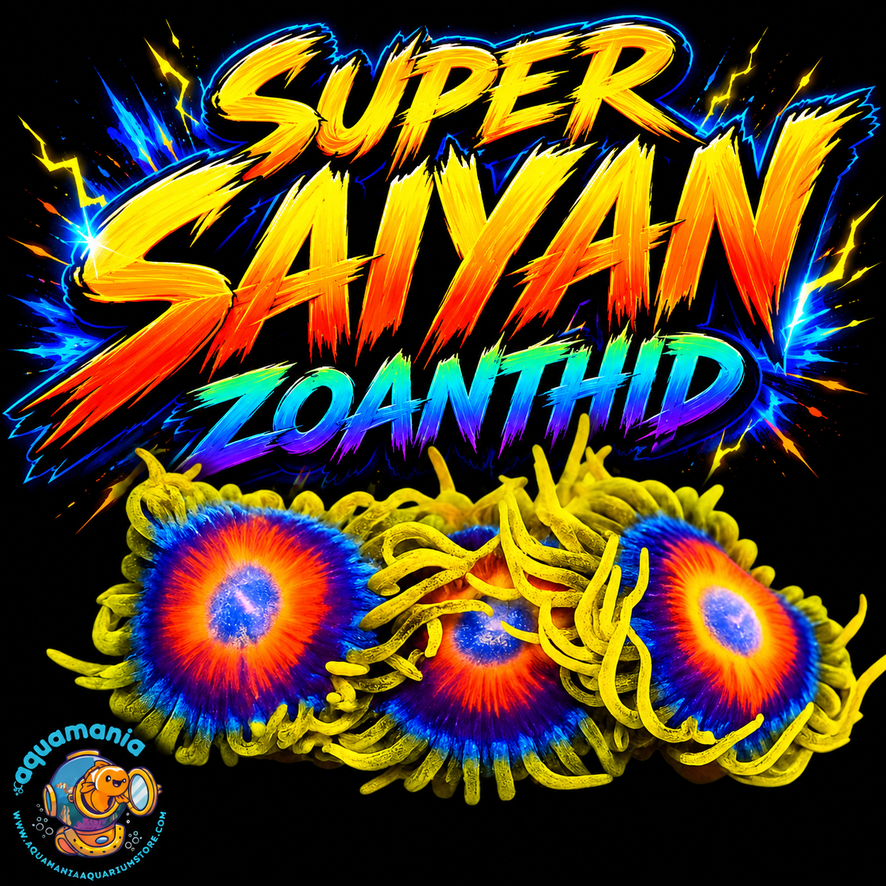 Super Saiyan Zoanthids Coral