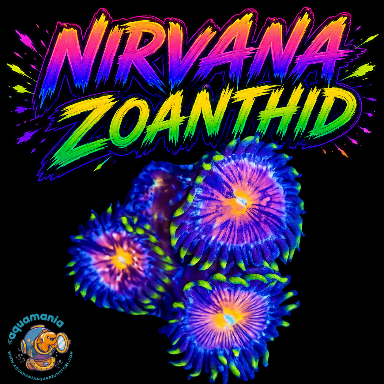 Nirvana Zoanthids Coral