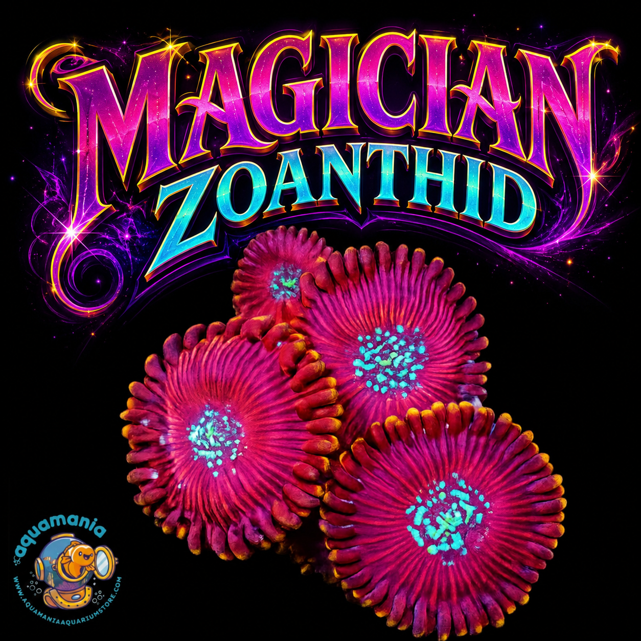 Magician Zoanthids Coral