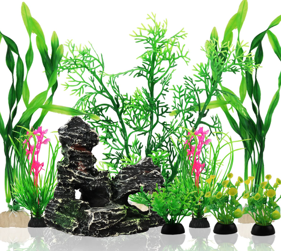 Freshwater Decoration