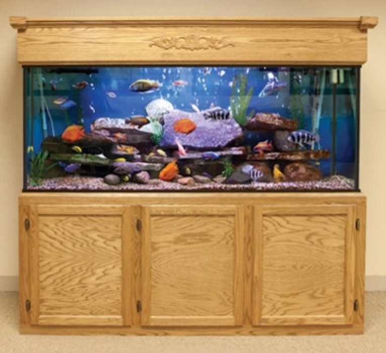 freshwater aquariums