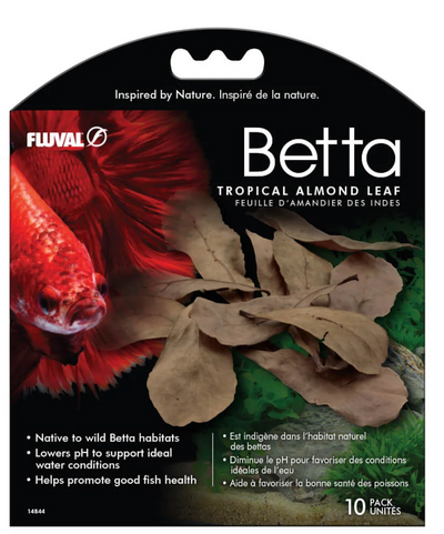 Betta Tropical Almond Leaves, 10-Pack