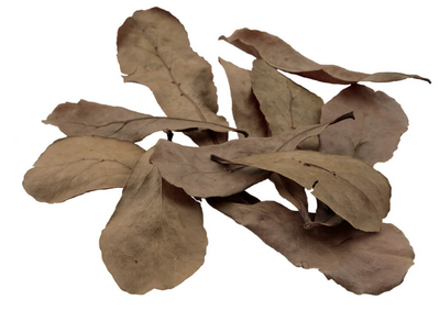 Betta Tropical Almond Leaves, 10-Pack