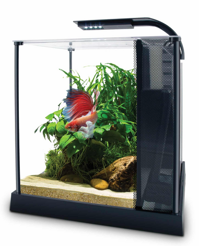Betta Premium Aquarium Kit, 2.6 US Gal / 10 L