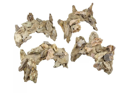 CaribSea - Exotica - Dragon Arches - 8" -  4 pack