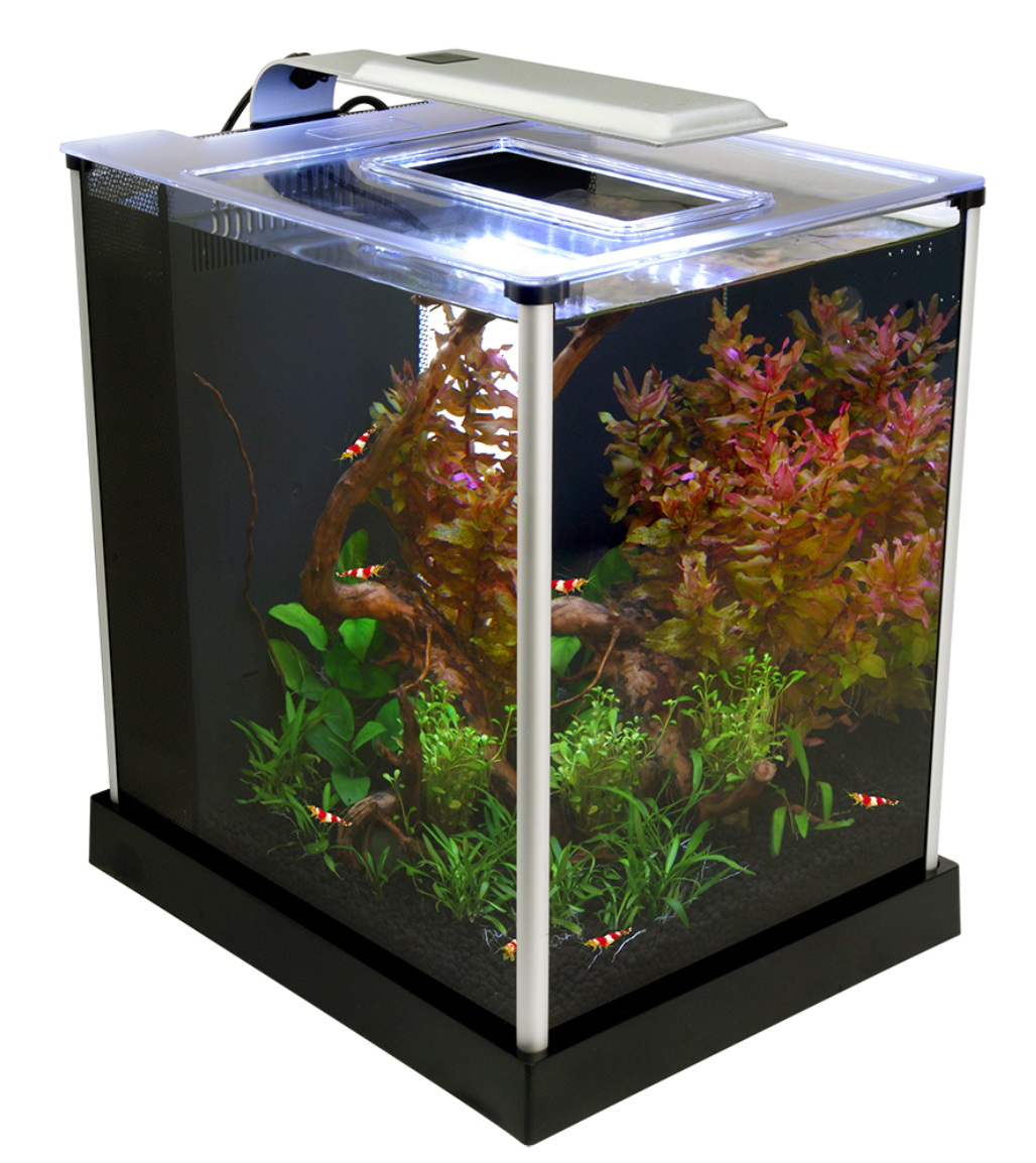 Ebi Freshwater Shrimp Kit, 2.6 US Gal / 10 L