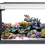 Evo Aquarium Kit, 5 US Gal / 19 L, Black