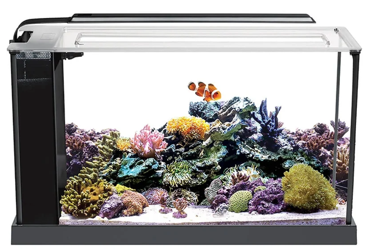 Evo Aquarium Kit, 5 US Gal / 19 L, Black