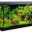 Flex Aquarium Kit, 32.5 US Gal / 123 L