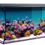 Flex Aquarium Kit, 32.5 US Gal / 123 L, Black