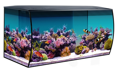 Flex Aquarium Kit, 32.5 US Gal / 123 L, Black