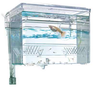 Hang-On Breeding Box