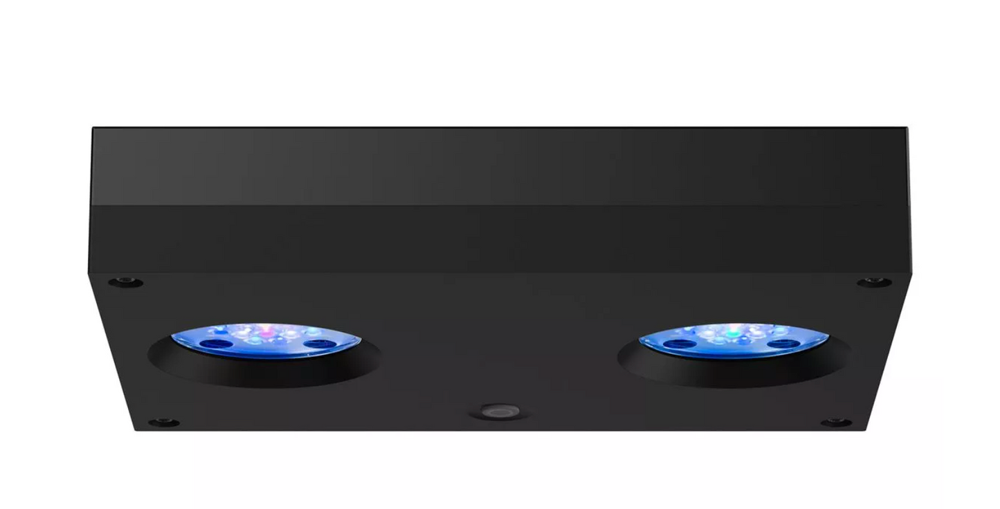 Hydra 32 HD LED Freshwater Light - Black Body