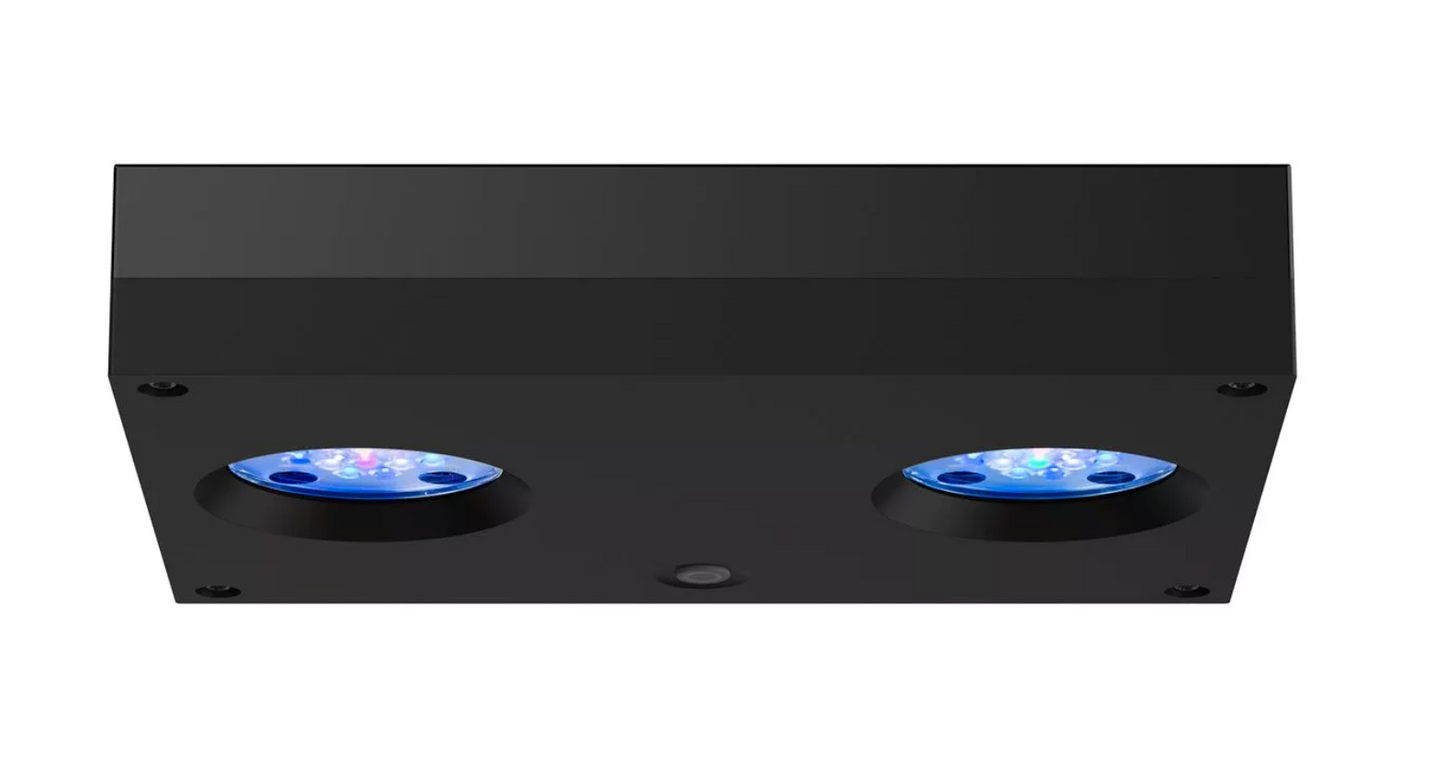 Hydra 32 HD LED Reef Light - Black Body
