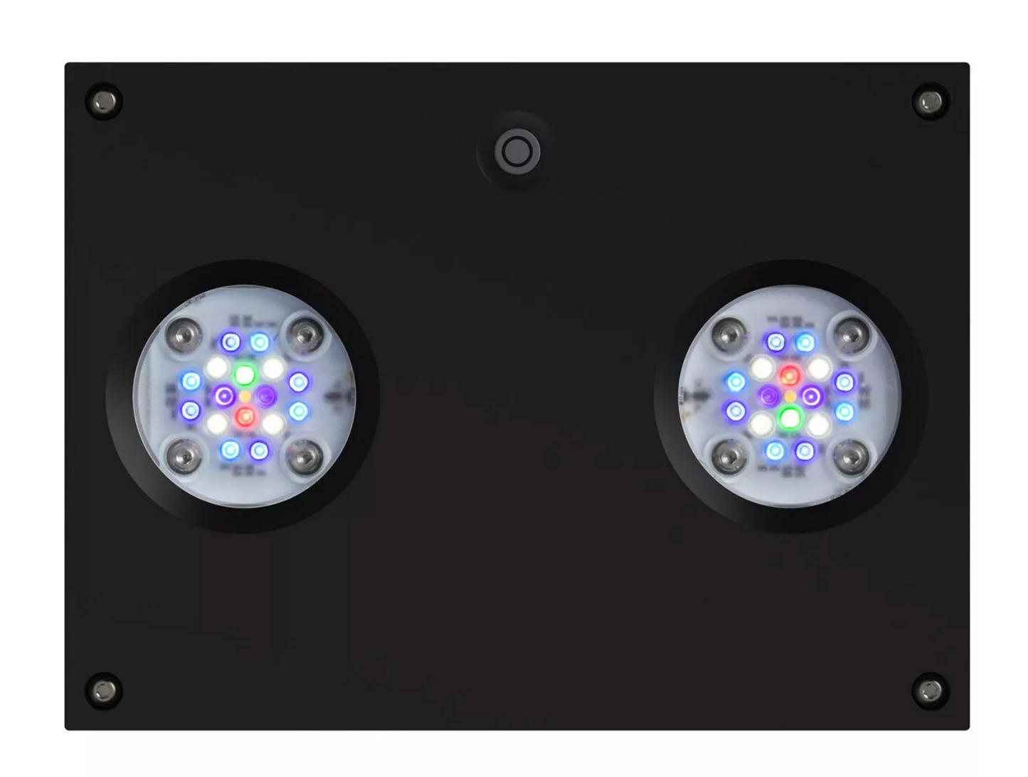 Hydra 32 HD LED Reef Light - Black Body