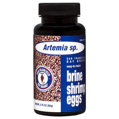 Brine shrimp Eggs