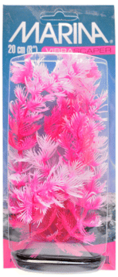 Marina 12" Hot Pink Foxtail