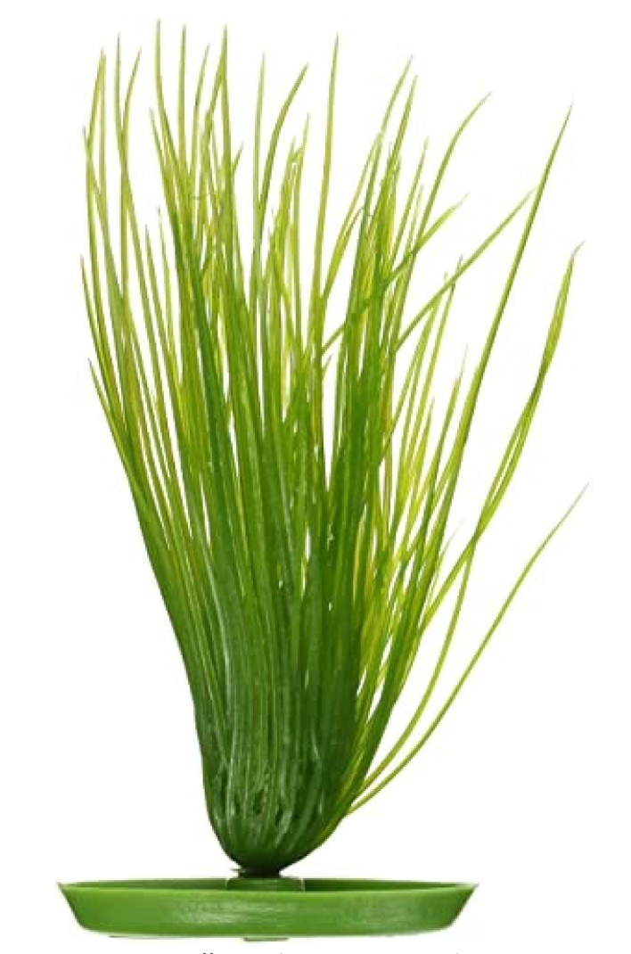 Marina Aquascaper Hairgrass, 8-Inch