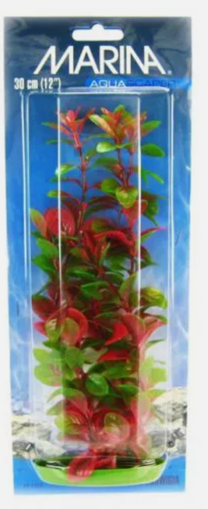 Marina Aquascaper Red Ludwigia Plant 12" tall