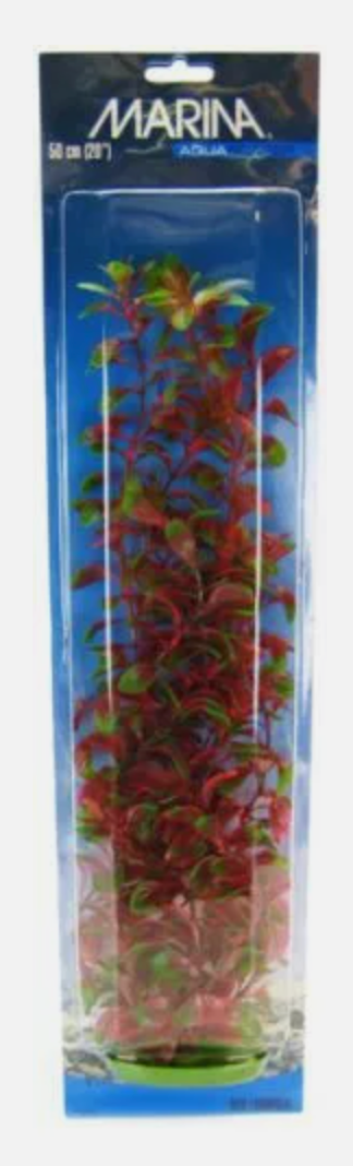 Marina Aquascaper Red Ludwigia Plant 20" tall