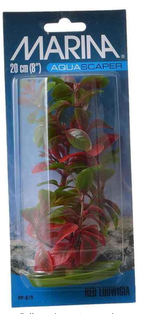 Marina Aquascaper Red Ludwigia, 8-Inch