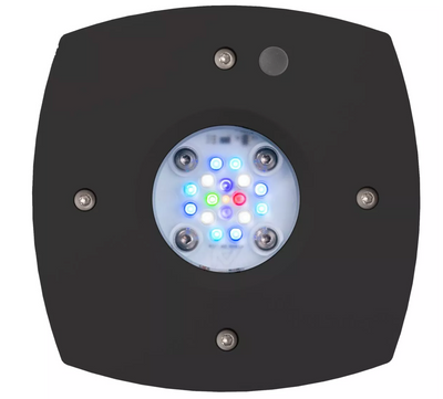 Prime 16 HD LED Reef Light - Black Body