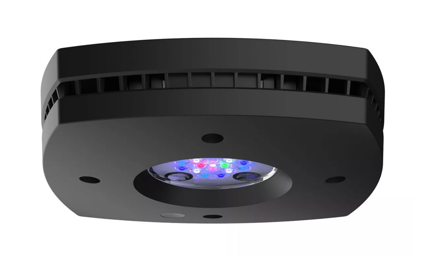 Prime 16 HD LED Reef Light - Black Body