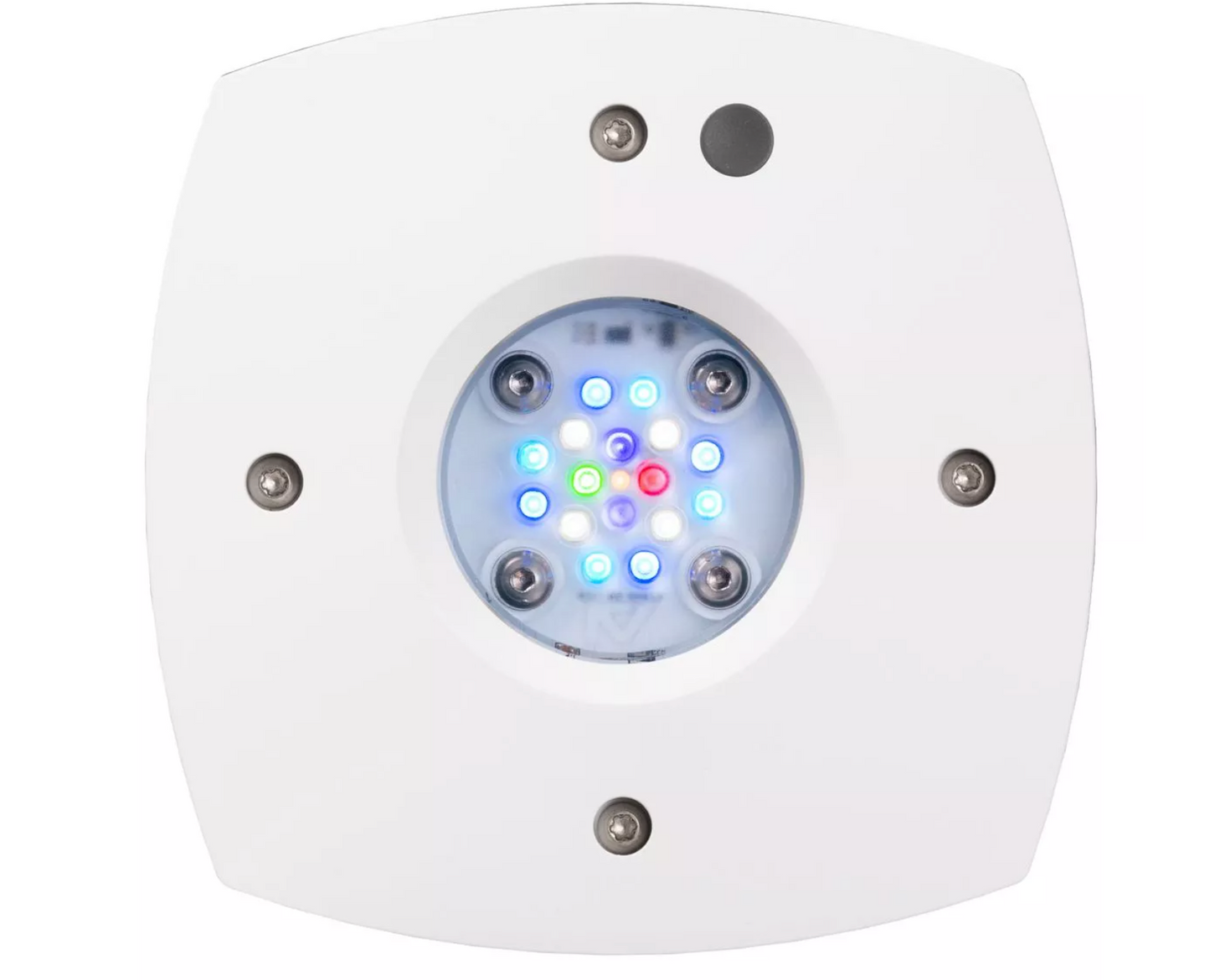 Prime 16 HD LED Reef Light - White Body