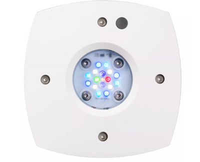 Prime 16 HD LED Reef Light - White Body