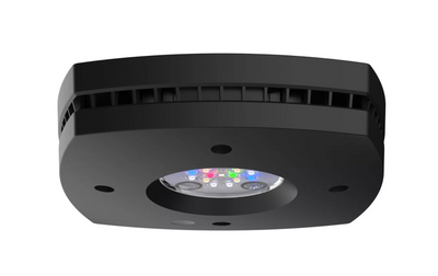 Prime 16 LED Freshwater Light - Black Body