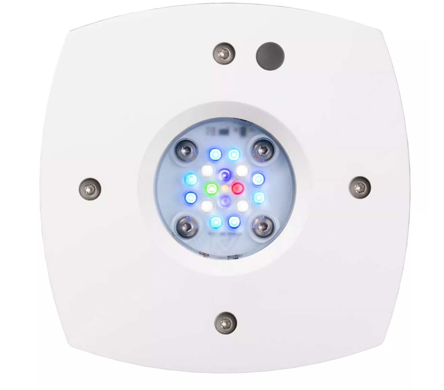 Prime 16 LED Freshwater Light - White Body