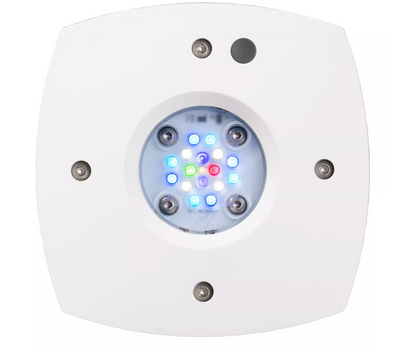 Prime 16 LED Freshwater Light - White Body