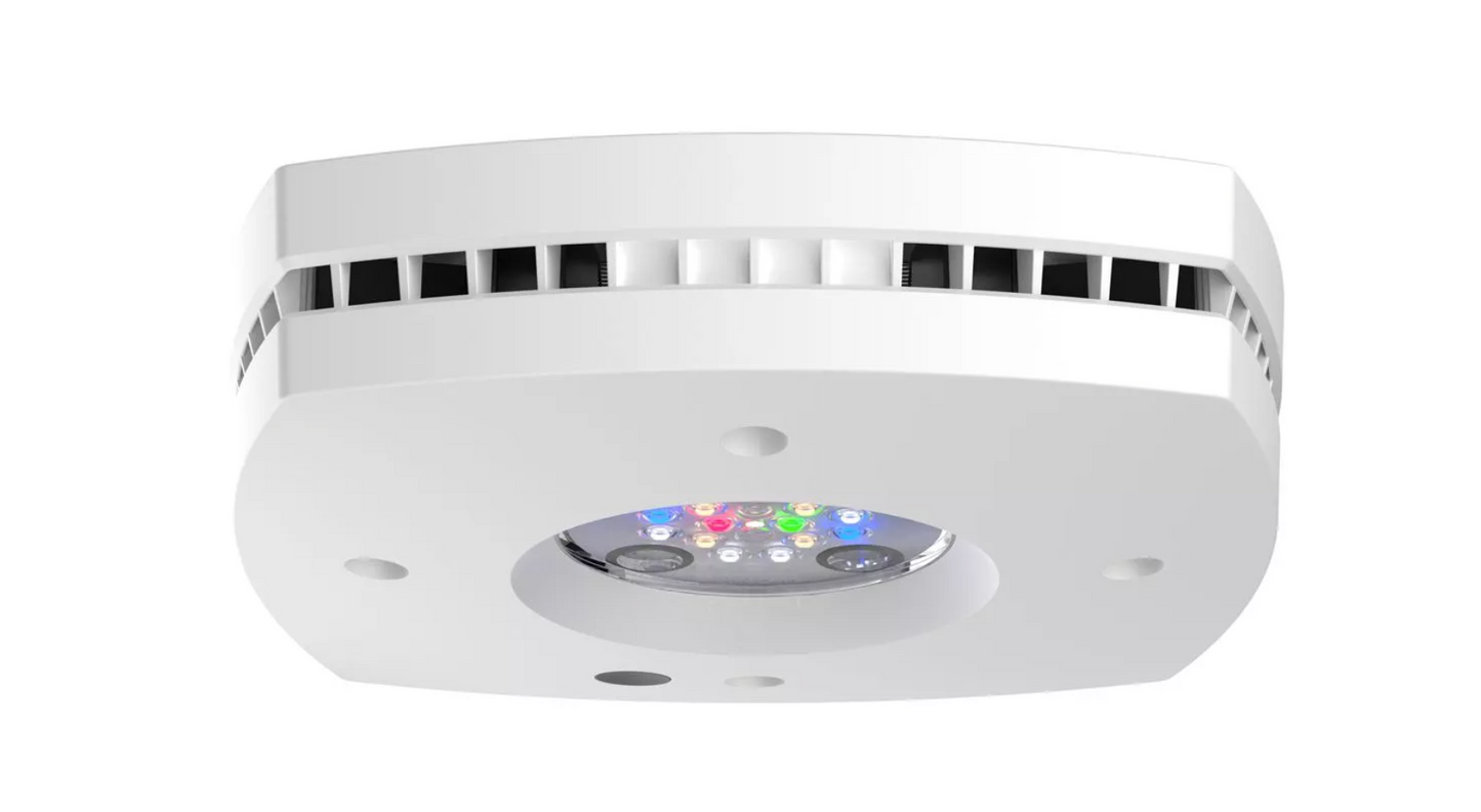 Prime 16 LED Freshwater Light - White Body