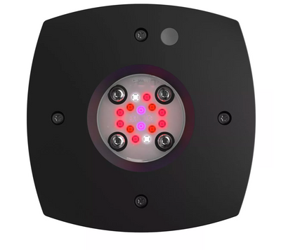 Prime 16 LED Fuge Light - Black Body