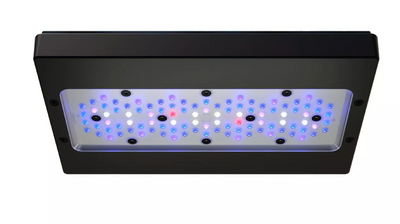 Radion XR30 G6 Blue LED Light Fixture