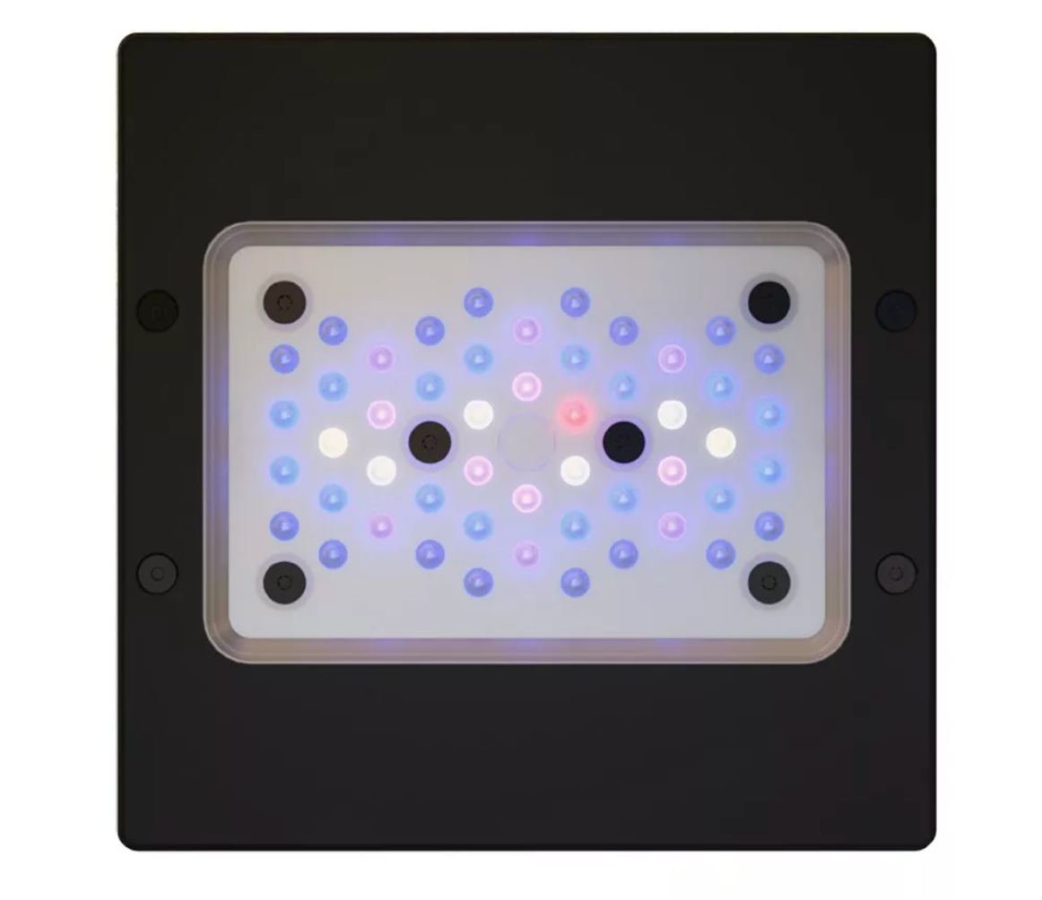 Radion XR15 G6 Blue LED Light Fixture