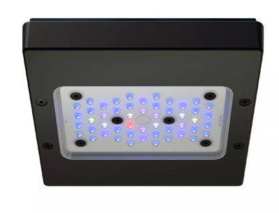 Radion XR15 G6 Blue LED Light Fixture